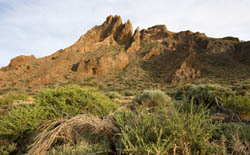 Tenerife, Spanje 